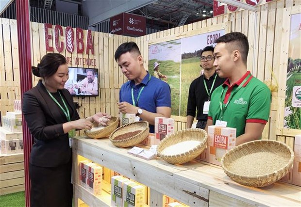 2019年越南国际食品工业展在胡志明市开幕 hinh anh 1