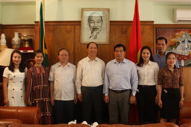 越南国会民族委员会代表团对南非进行工作访问 hinh anh 2