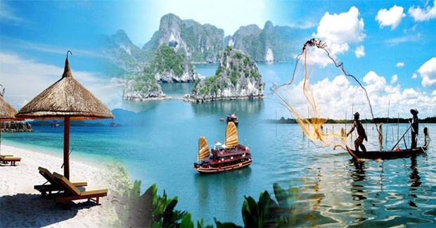 埃及投资商在越南投资3亿美元的旅游服务项目 hinh anh 1