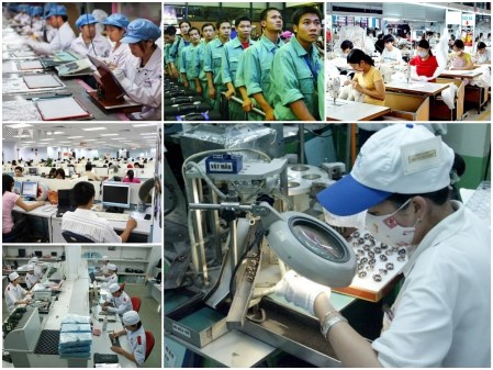 2020年胡志明市预计有32.3万个工作岗位的需求 hinh anh 1