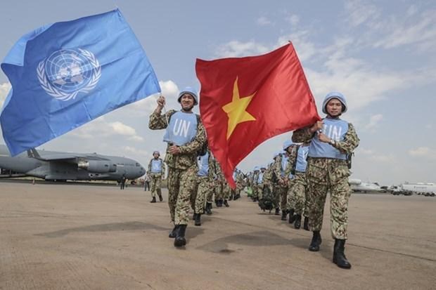 联合国期待越南成为联合国安理会活跃高效的非常任理事国 hinh anh 1