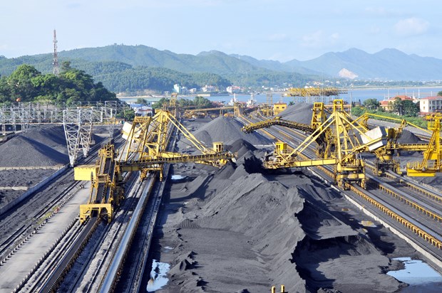 越南煤炭矿产工业集团力争实现2020年煤炭销售量增长10% hinh anh 1