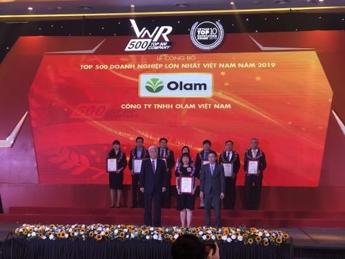 2019年越南企业500强榜单正式公布 hinh anh 1