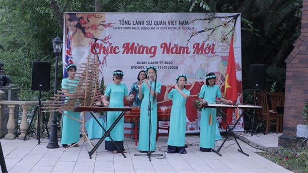 旅居世界各国越南人举行2020庚子春节迎春活动 hinh anh 2
