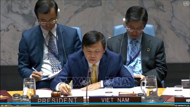 越南与联合国安理会：越南主持召开也门局势公开会 hinh anh 1
