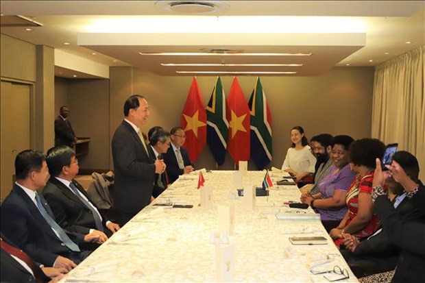 南非将越南视为该国在东南亚的头等重要伙伴之一 hinh anh 1