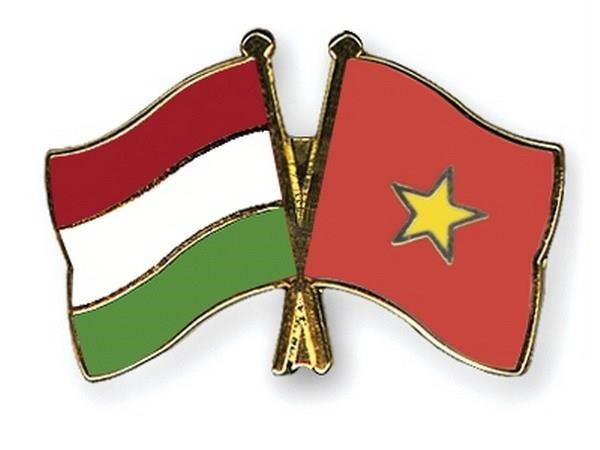 越南与匈牙利和罗马尼亚领导人就建交70周年互致贺电 hinh anh 1