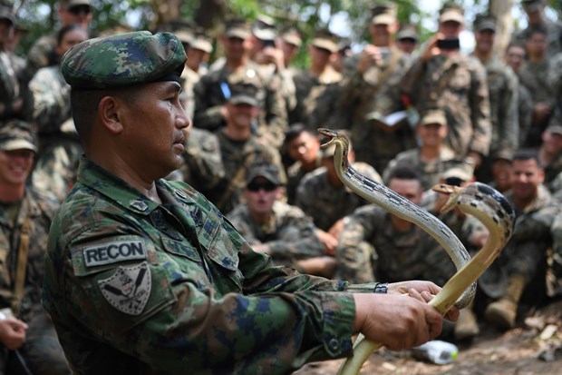 新冠肺炎疫情：第39次“金色眼镜蛇”联合军演将在采取防控措施的情况下举行 hinh anh 2