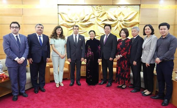 越南向阿塞拜疆驻越南大使颁授“致力于各民族和平友谊”的纪念章 hinh anh 2