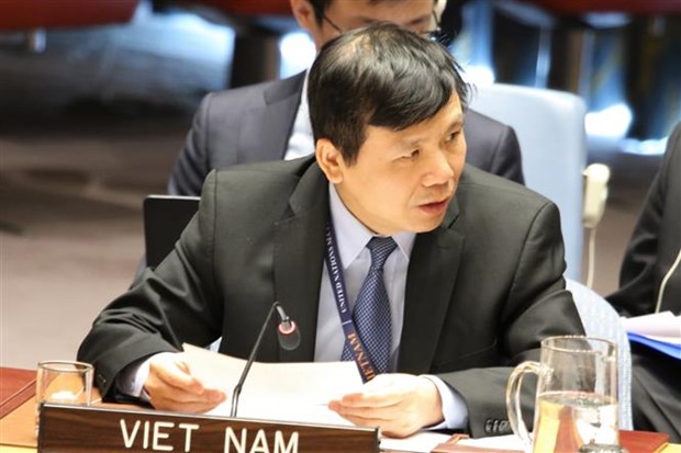 越南支持联合国安理会解决非洲面临的恐怖和暴力极端主义 hinh anh 2