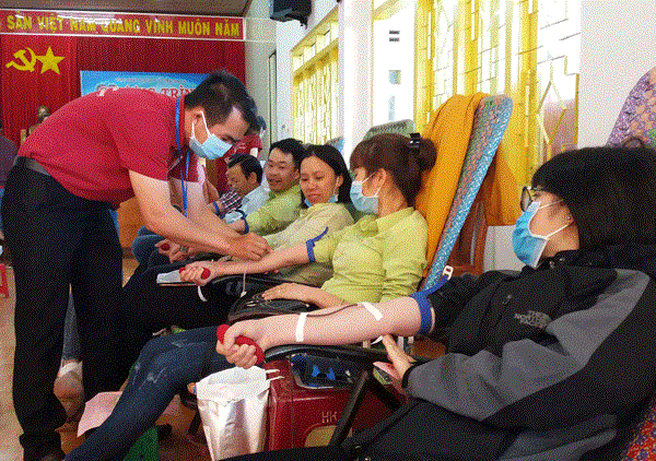 越南卫生部举行医务人员献血救人活动 hinh anh 1