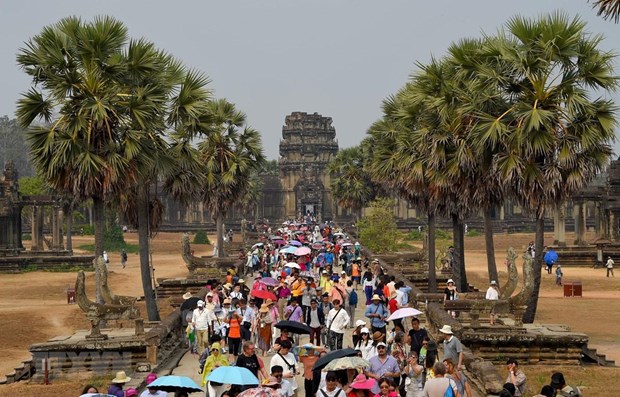 柬埔寨被评为世界最佳旅游目的地之一 hinh anh 1