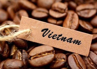 越南咖啡走向世界各地 hinh anh 1