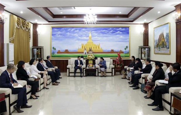 越南党和国家领导致电和送花篮庆祝老挝人民革命党成立65周年 hinh anh 2