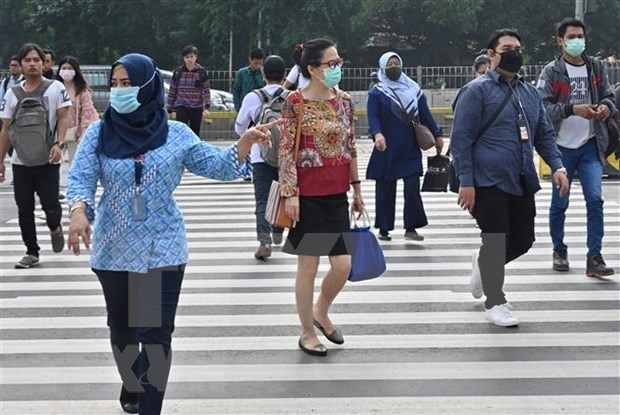 东南亚各国在新冠肺炎疫情爆发期间的共同担忧 hinh anh 1