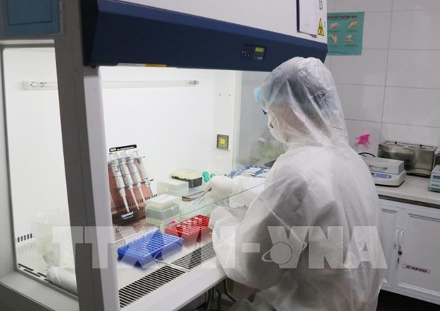 新冠肺炎疫情：越南已把疫情控制好 许多患者新冠病毒检测结果呈阴性 hinh anh 2