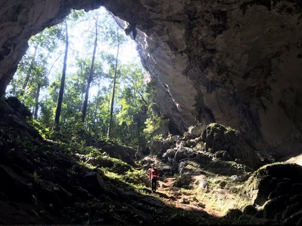 广平省新发现未被踏足的12个洞穴 hinh anh 1