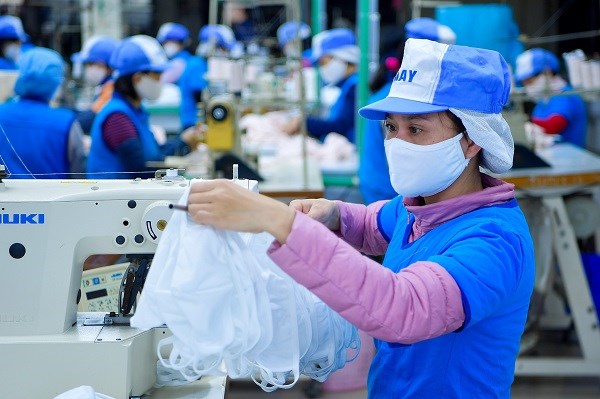 越南纺织集团推出Vinatex品牌防疫口罩 hinh anh 1