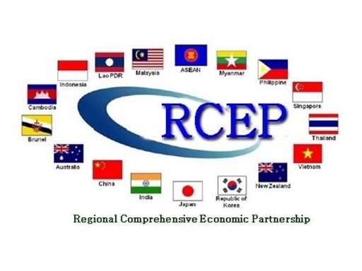 RCEP各成员国鼓励印度重返谈判进程 hinh anh 1
