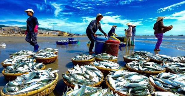 今年前4月越南水产品出口额同比下降10% hinh anh 2