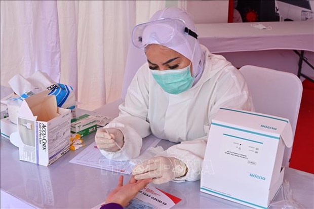 新冠肺炎疫情：印尼呼吁确保各国平等获得医疗物资 hinh anh 1