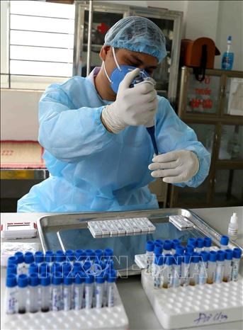 新冠肺炎疫情：越南新增17例输入性病例  本地确诊病例新增为零 hinh anh 1