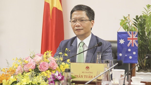 越南与澳大利亚讨论新冠肺炎疫情过后的贸易投资合作 hinh anh 1
