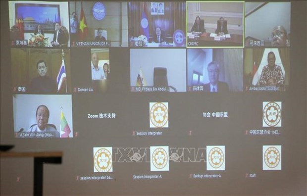 东盟与中国民间友好组织领导人特别视频会晤以视频方式召开 hinh anh 1