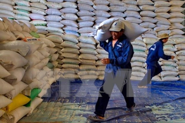 越南对中国的大米出口价格猛增 hinh anh 1
