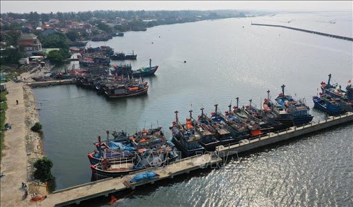 渔港和渔船停泊避风区系统规划任务获批 hinh anh 1
