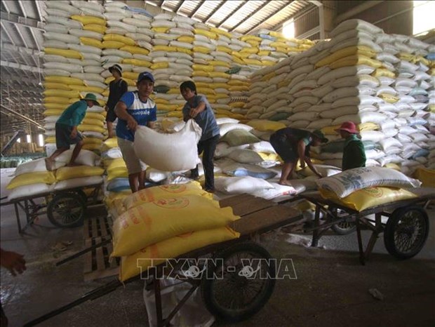 越南农产品价格呈现上涨趋势 hinh anh 1