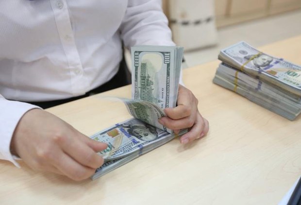 5月29日越南国家银行越盾对美元汇率中间价大幅上涨 hinh anh 1