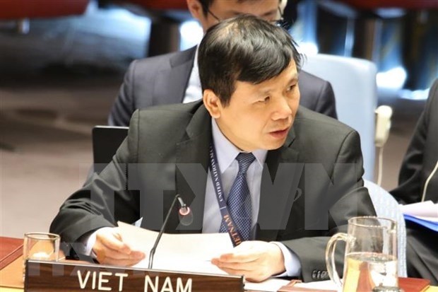 越南主持召开联合国安理会有关国际法院工作组会议 hinh anh 1