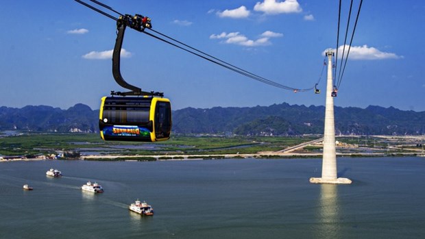 海防市拥有世界最高的缆车塔缆车系统即将投入运行 hinh anh 1