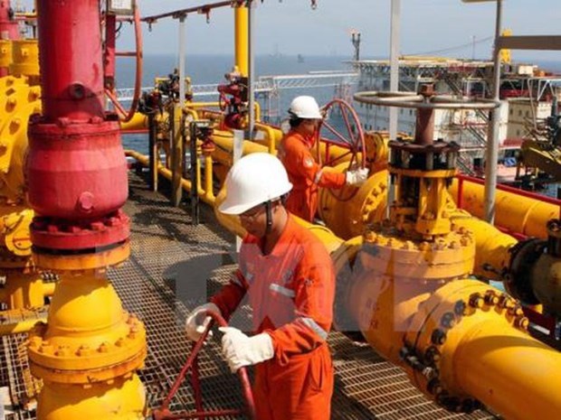 2020年前5月越南石油开采量达899万吨 hinh anh 1
