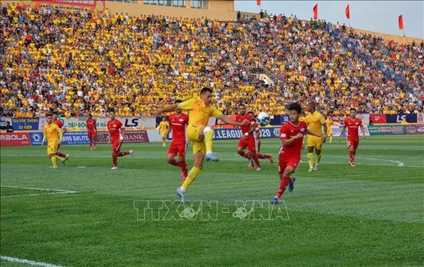 外媒发表文章高度评价越南足球甲级联赛重启 上万球迷坐满球场 hinh anh 1
