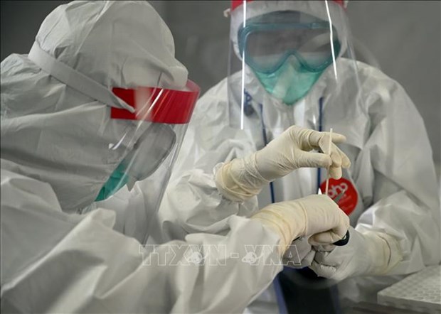印尼与外国伙伴加强新冠肺炎病毒疫苗研制合作 hinh anh 1
