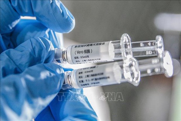 中国驻东盟大使：中国愿同东盟积极开展新冠疫苗合作 hinh anh 1