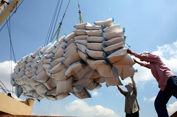 越南有望成为2020年世界最大大米出口国 hinh anh 2