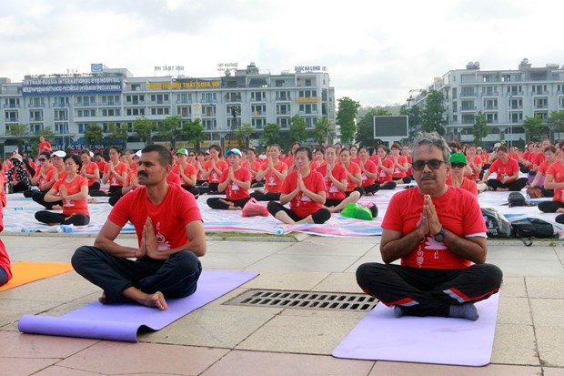 越南举行千人瑜伽活动 响应国际瑜伽日 hinh anh 1