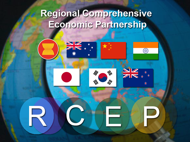 RCEP被期待打开地区和国际贸易新局面 hinh anh 1
