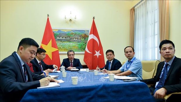 越南与土耳其外交部领导就两国新冠肺炎疫情下促进关系的措施展开讨论 hinh anh 1