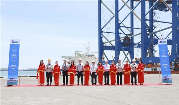 Doosan Vina向Gemalink国际港口出口2台超长超重型起重机 hinh anh 1