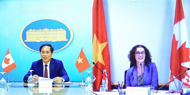 越南与加拿大举行第二次副外长级政治磋商 hinh anh 1