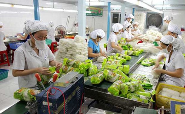 越南蔬果对“荷刻”市场的出口增长良好 hinh anh 1