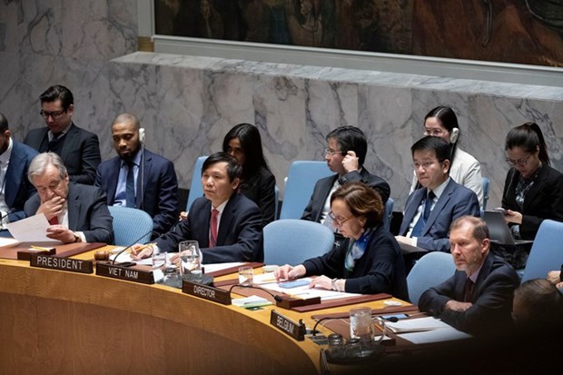 越南与联合国安理会：联合国安理会上半年的活动盘点及越南的作用和贡献 hinh anh 2