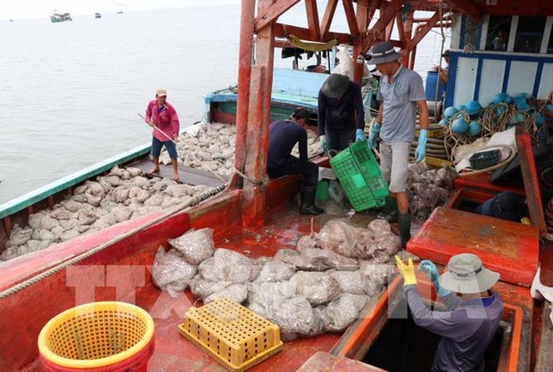 解除黄牌警告：越南渔船船位监测设备安装率超过77% hinh anh 1