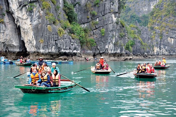 今年前7月越南接待国际游客人数同比下降61.6% hinh anh 1