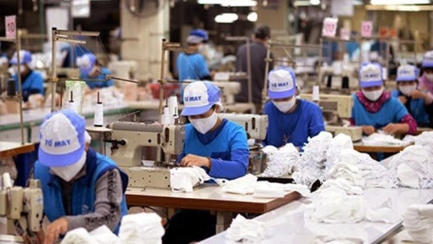 越南纺织企业承诺提供充足的抗菌布口罩 hinh anh 1