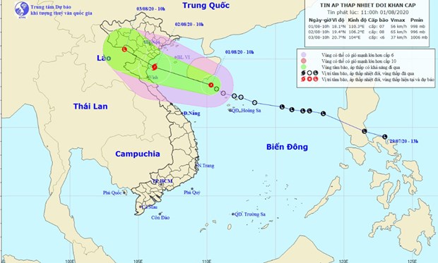 热带低压发展为今年第二号台风 越南政府副总理要求主动采取应对措施 hinh anh 1